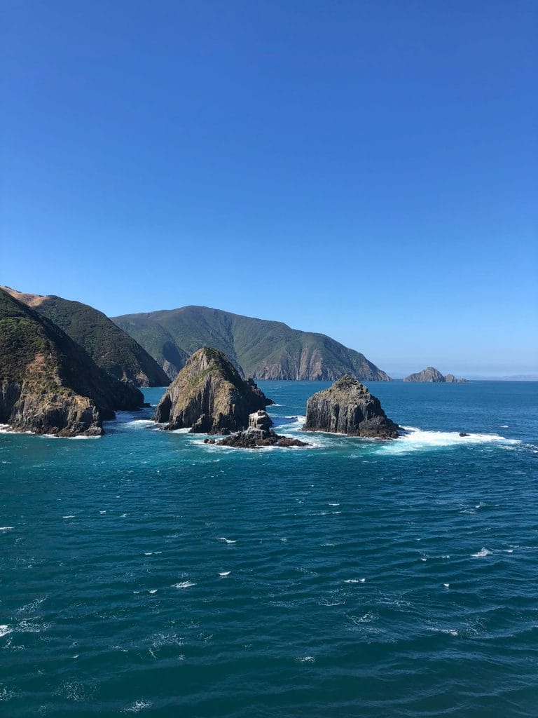 Que faire île du Sud Nouvelle-Zélande : Les Marlborough Sounds en ferry