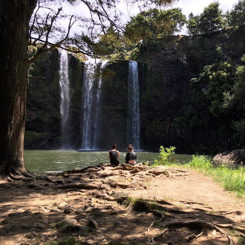 Que faire ile du Nord Nouvelle-Zélande : Whangarei Waterfalls