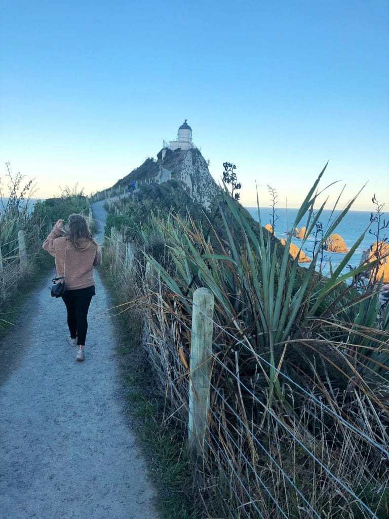 Que faire île du Sud Nouvelle-Zélande : Nugget Point Lighthouse