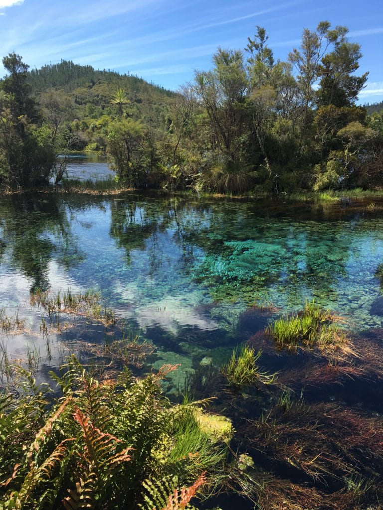 Que faire île du Sud Nouvelle-Zélande : Te Waikoropupu Springs