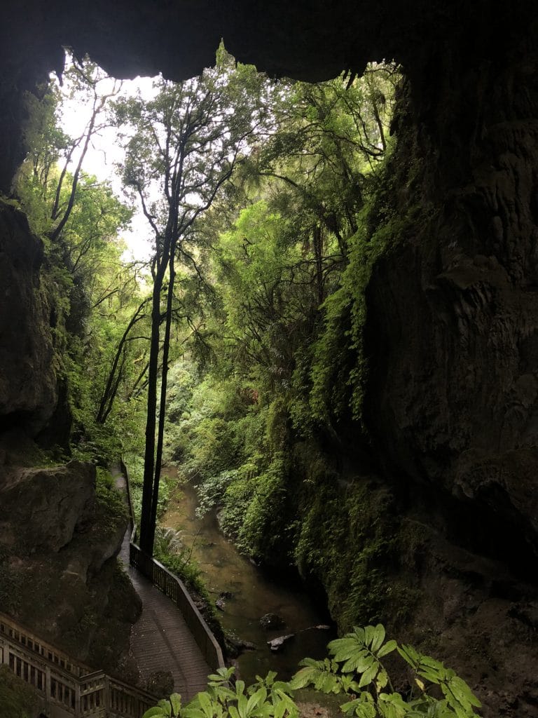 Les Incontournables en Nouvelle-Zélande : Mangapohu Natural Bridge