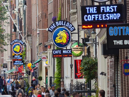 Que faire à Amsterdam : Les coffee shop
