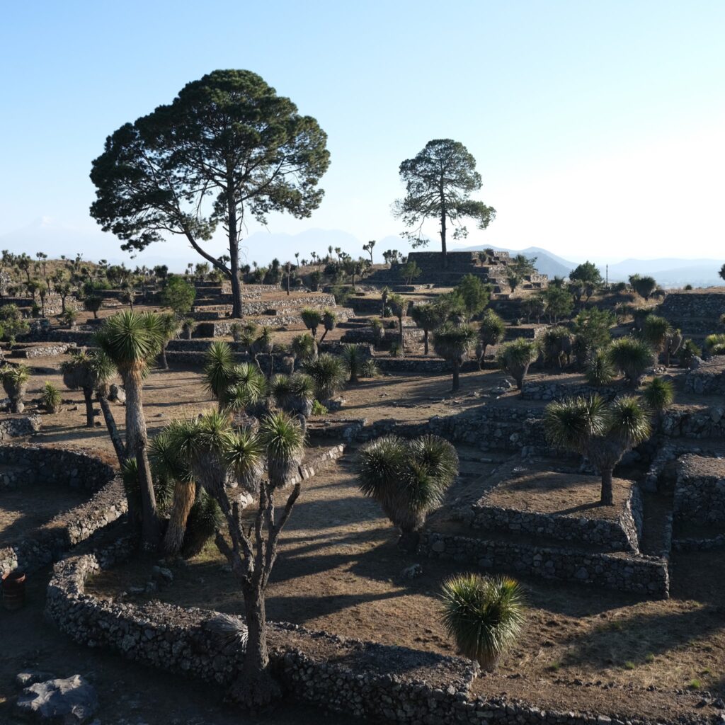 Que faire dans la région de Puebla  : Site archéologique de Cantona