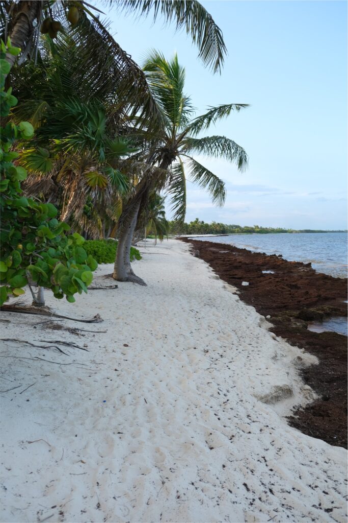 Que faire dans le Quintana Roo : Punta Allen