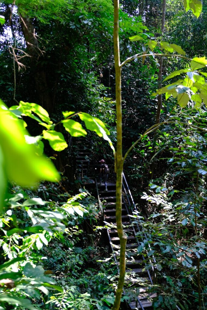 Itinéraire de 3 semaines en Malaisie : Randonnée dans le Taman Negara