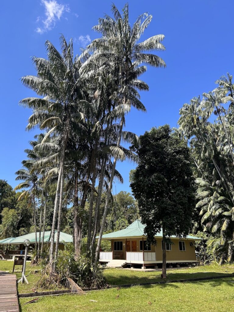 Itinéraire 3 semaines à Bornéo : Les bungalows à Bako