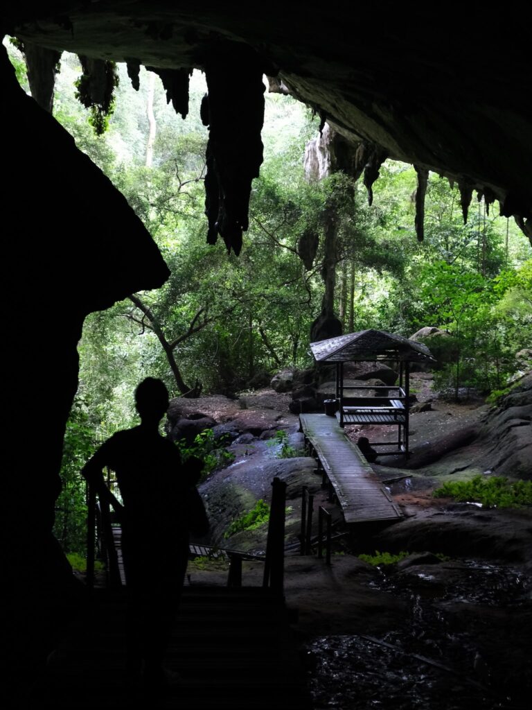 Itinéraire 3 semaines à Bornéo : Grottes de Niah