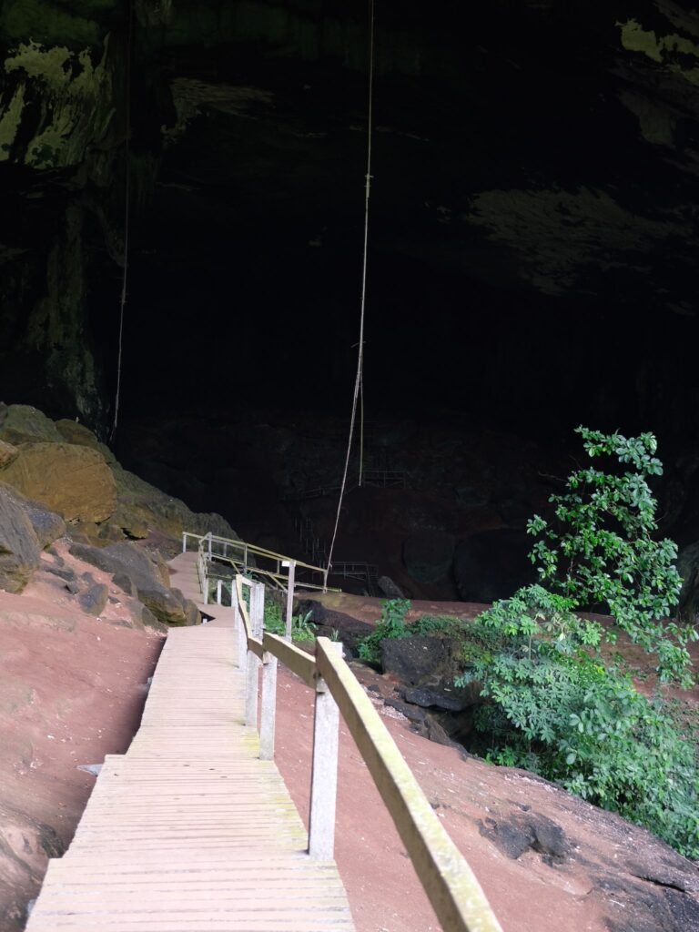 Itinéraire 3 semaines à Bornéo : Grottes de Niah