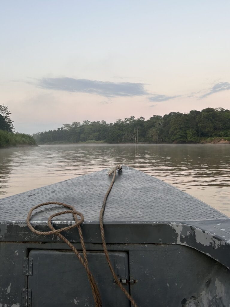 Itinéraire 3 semaines à Bornéo : L'ambiance sur la rivière Kinabatangan