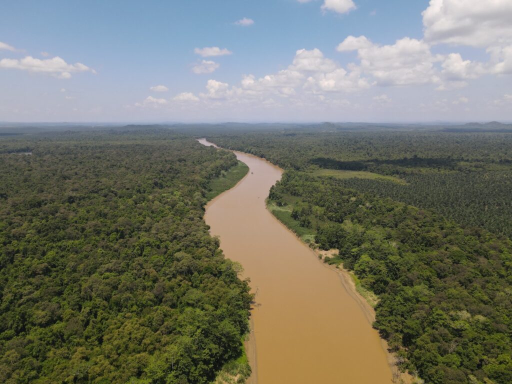 Itinéraire 3 semaines à Bornéo : Rivière Kinabatangan depuis le ciel