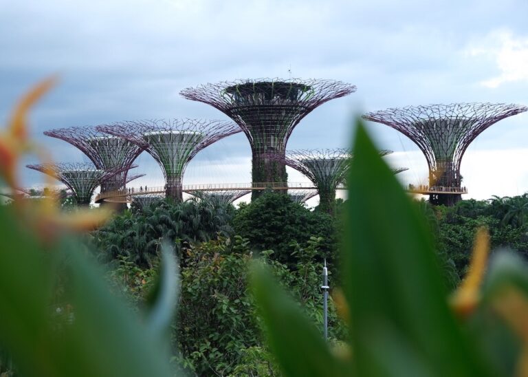 Lire la suite à propos de l’article Visiter Singapour : que faire en 3 à 7 jours ?