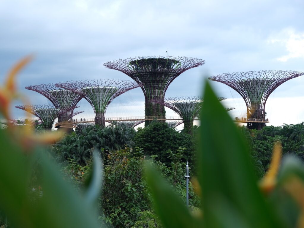 Que faire à Singapour : Supertrees à Garden By the Bay