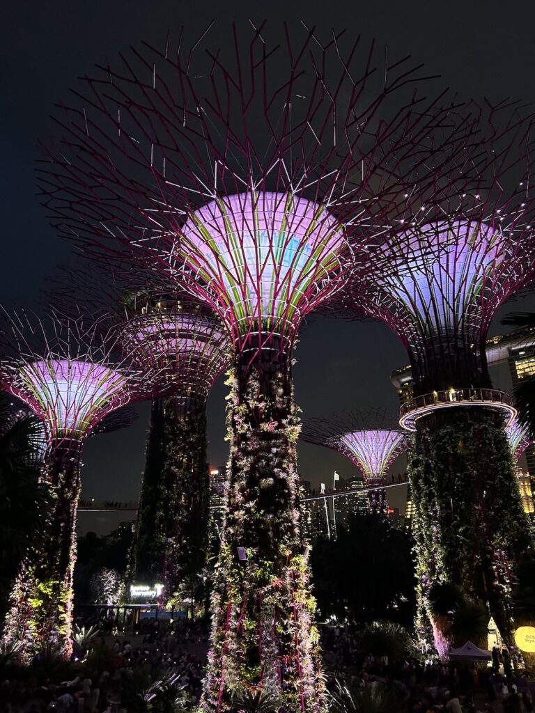 Que faire à Singapour : Supertrees à Garden By the Bay