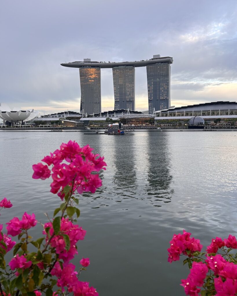 Que faire à Singapour : Vue sur Marina Bay Sands dans l'hypercentre