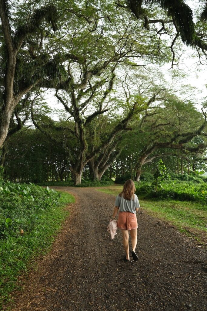 Que faire à Java : Banyuwangi - De Djawatan Forest