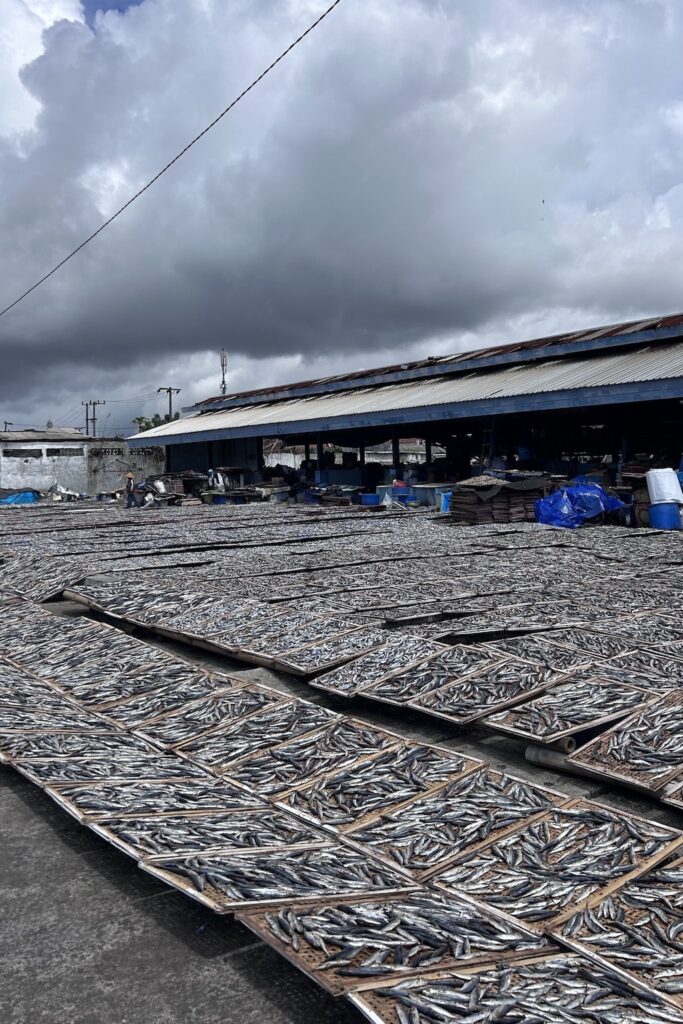 Que faire à Java : Banyuwangi - Muncar