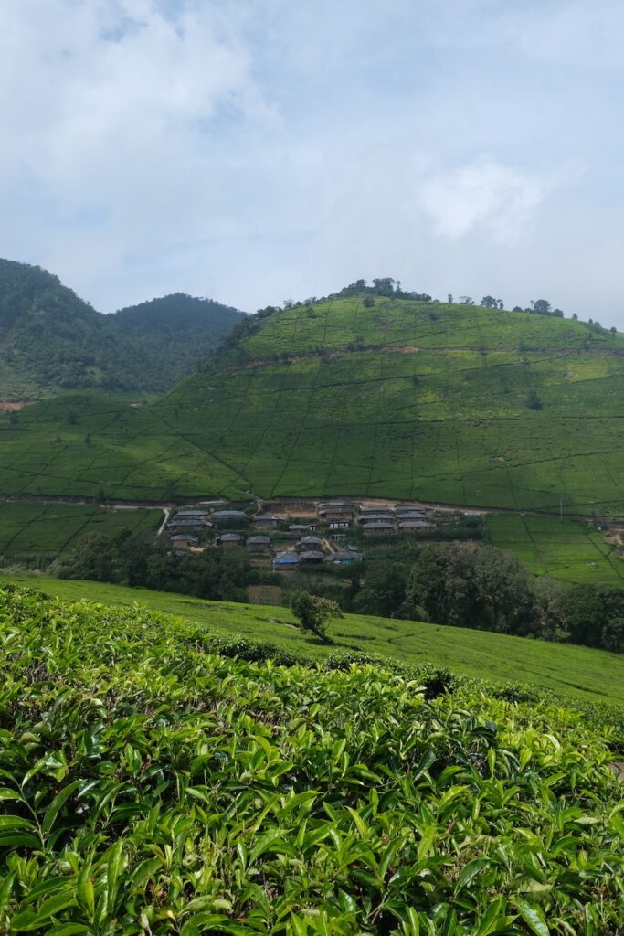 Que faire à Java : Ciwidey - Kawah Putih