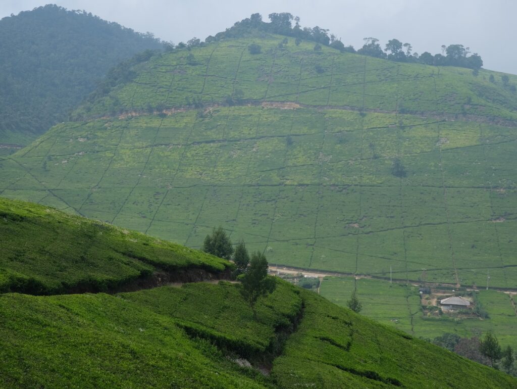 Que faire à Java : Ciwidey - Kawah Putih