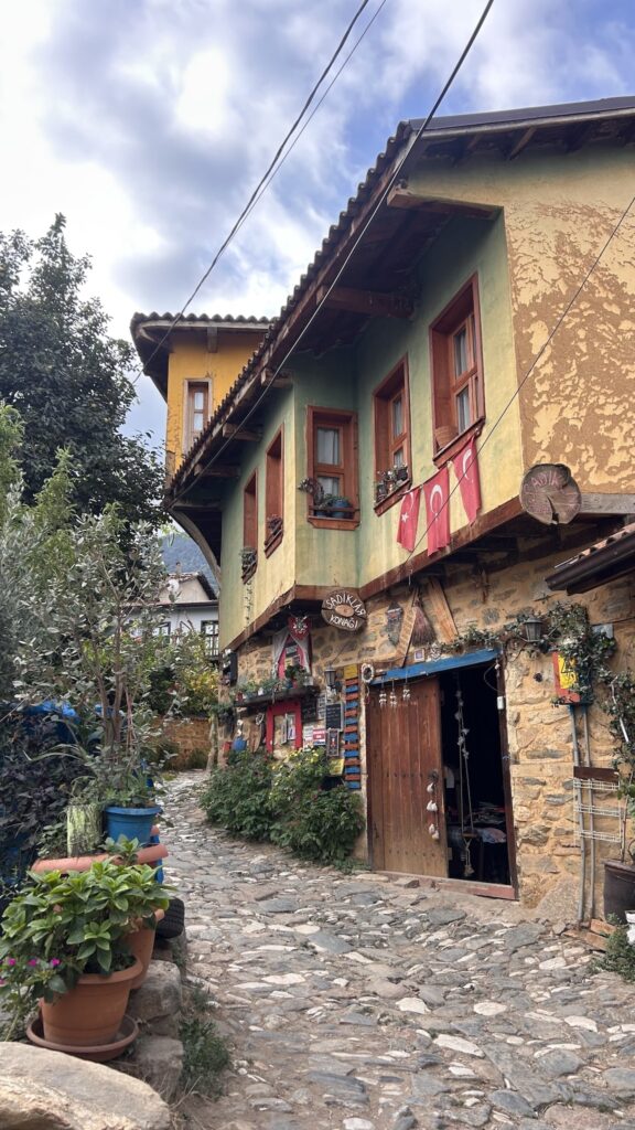 Que faire en Turquie : Bursa - village ottoman de Cumalikizik