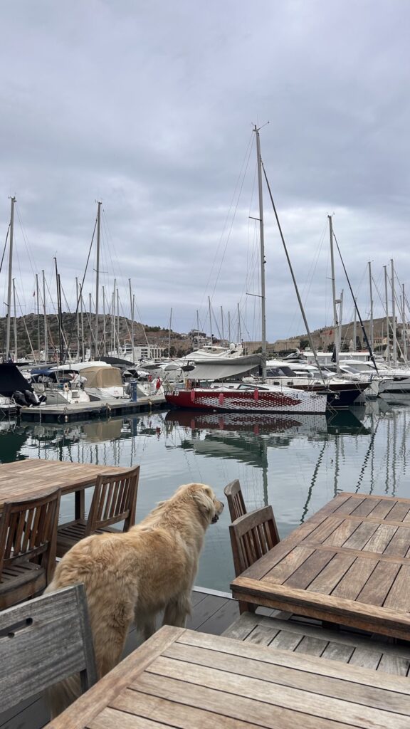 Que faire en Turquie aux alentours d'Izmir : Çeşme